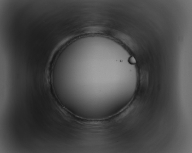 X0000100421164200806061356