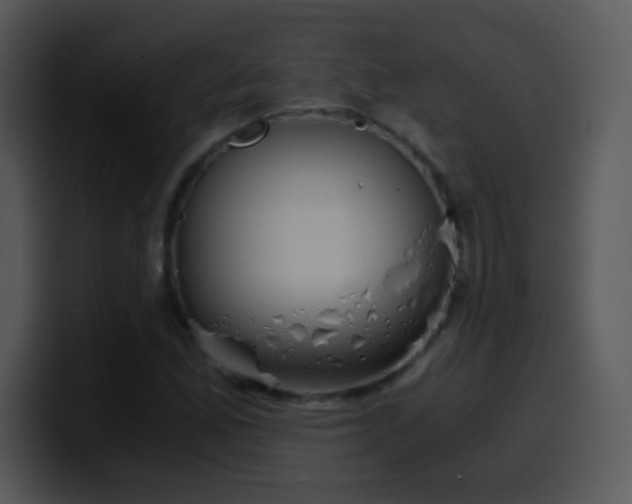 X0000100421165200806061356