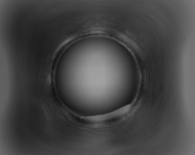 X0000100421166200806061356