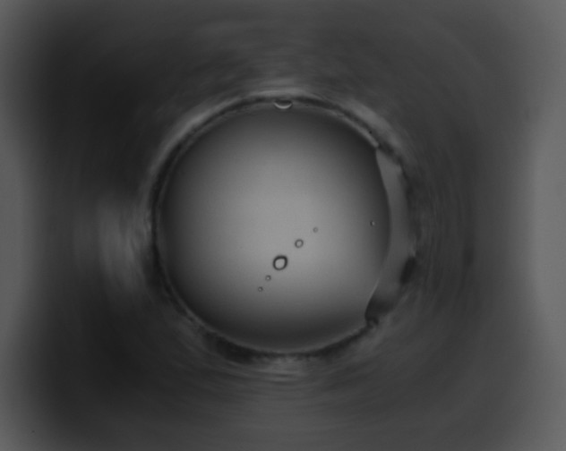 X0000100421167200806061356