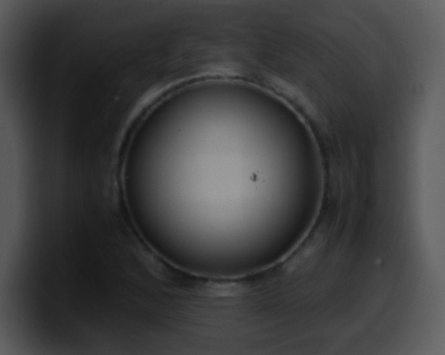 X0000100421168200806061356