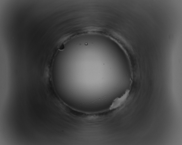X0000100421169200806061356