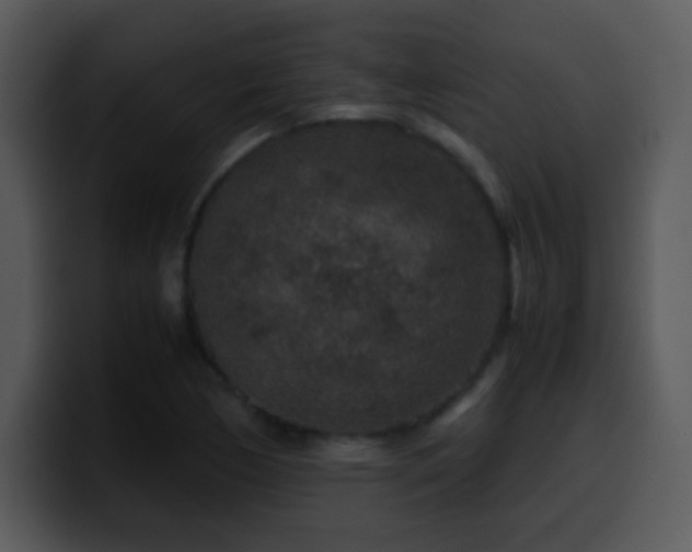 X0000100421170200806061356