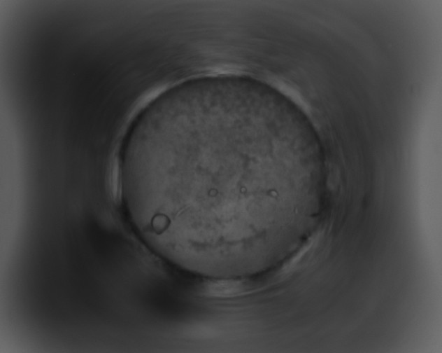 X0000100421171200806061356