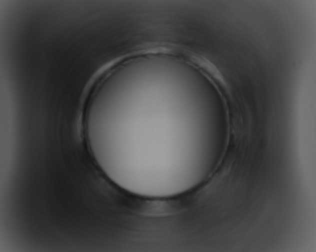 X0000100421172200806061356