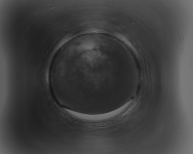 X0000100421173200806061356