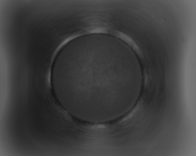 X0000100421174200806061356