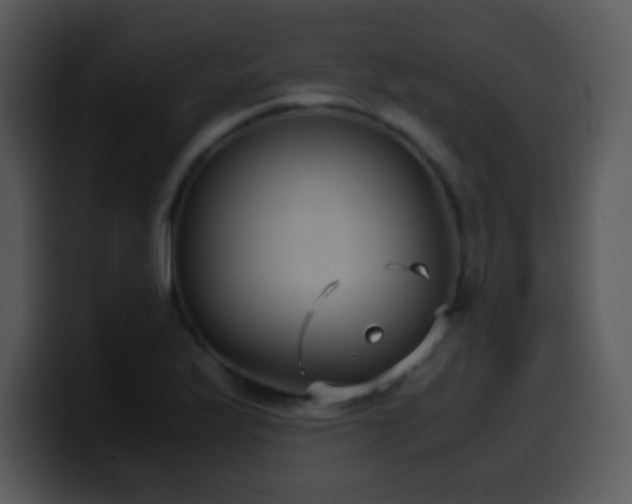 X0000100421175200806061356