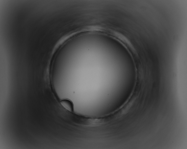 X0000100421176200806061356