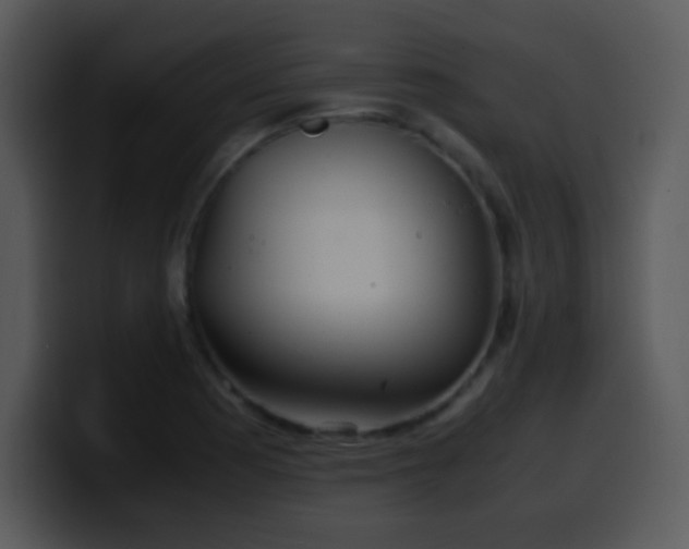 X0000100421177200806061356