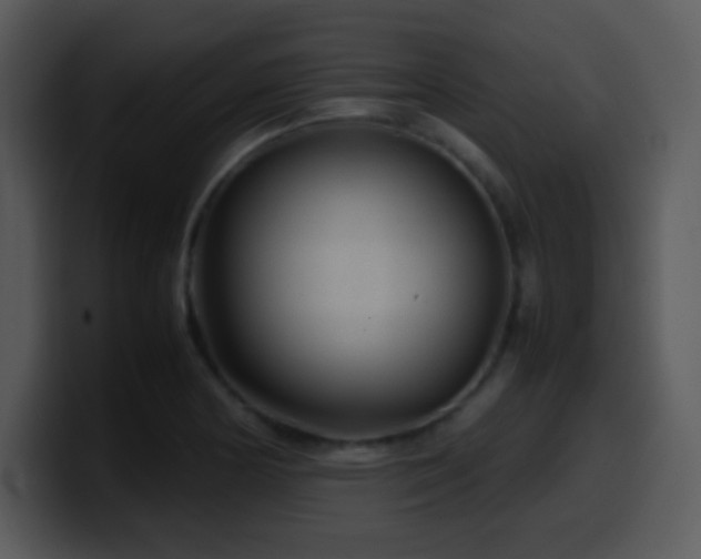 X0000100421178200806061356