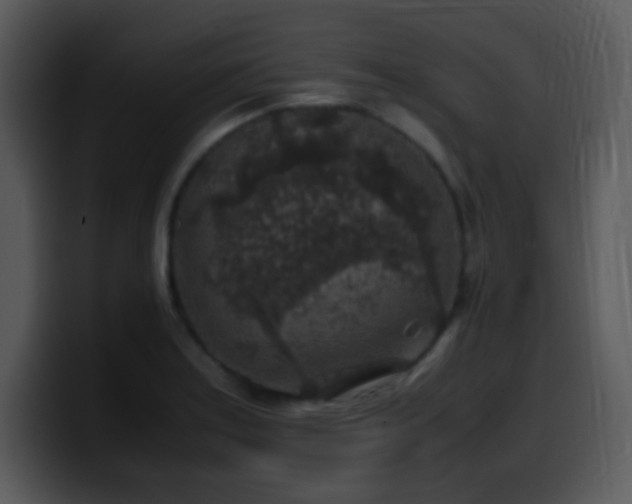 X0000100421179200806061356