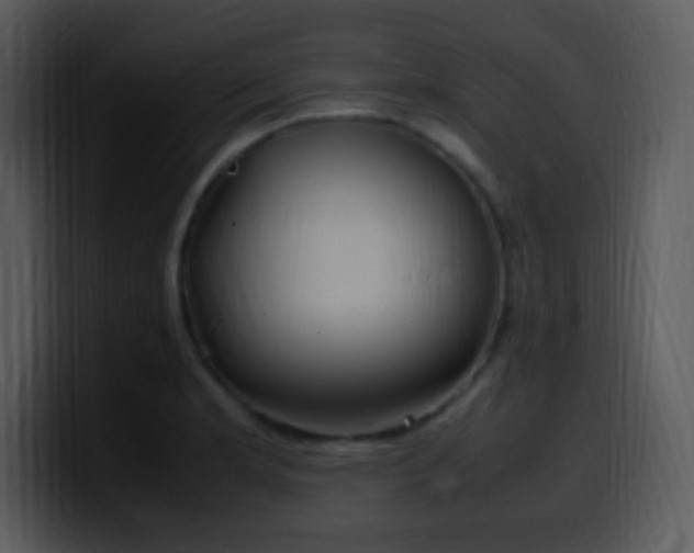 X0000100421181200806061356
