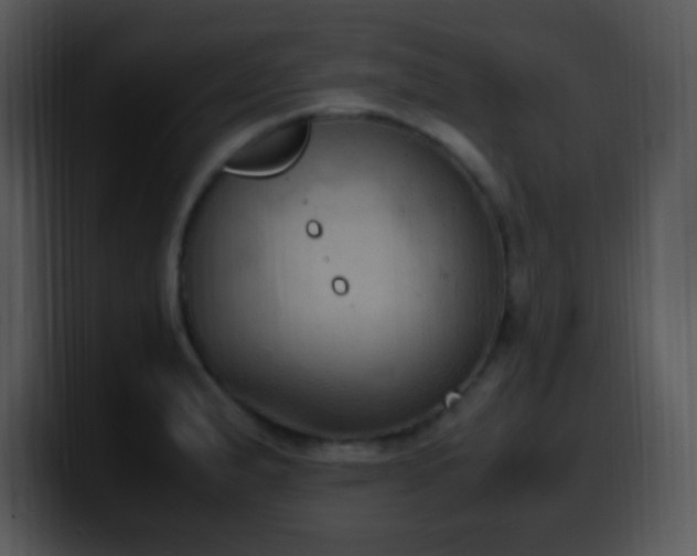X0000100421183200806061356