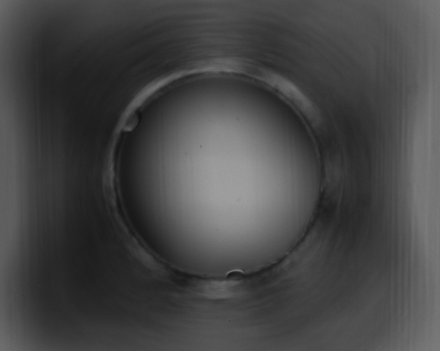 X0000100421184200806061356