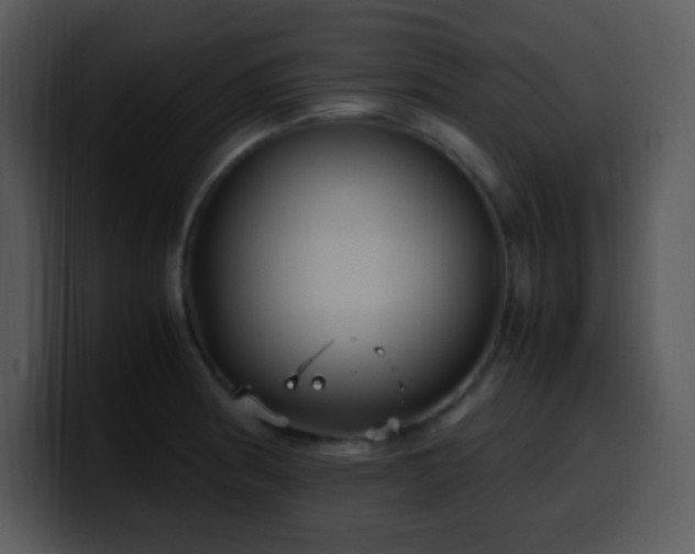 X0000100421186200806061356