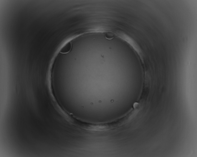 X0000100421187200806061356
