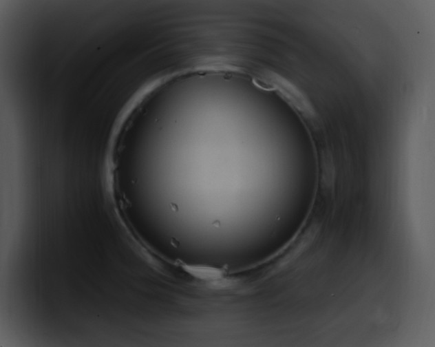 X0000100421188200806061356