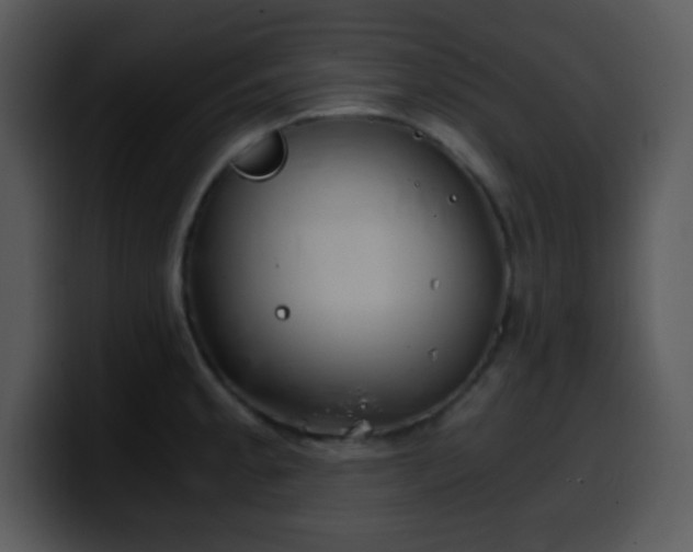 X0000100421189200806061356