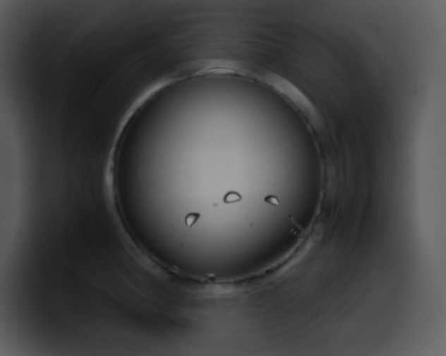 X0000100421190200806061356