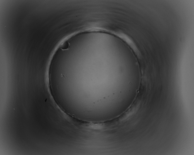 X0000100421191200806061356