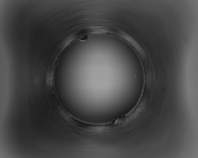 X0000100421193200806061356