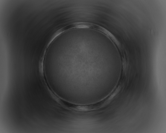 X0000100421194200806061356