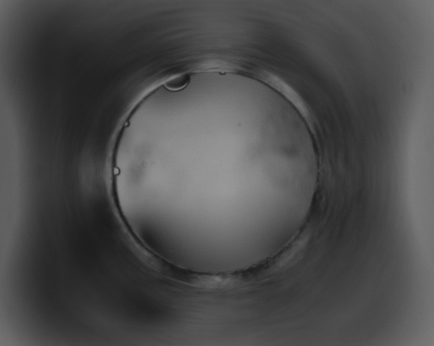 X0000100421195200806061356