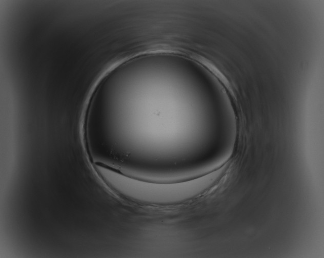 X0000100421197200806061356