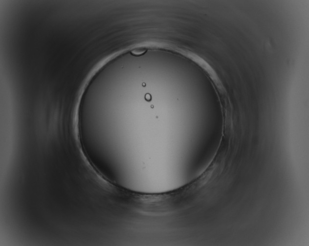 X0000100421199200806061356