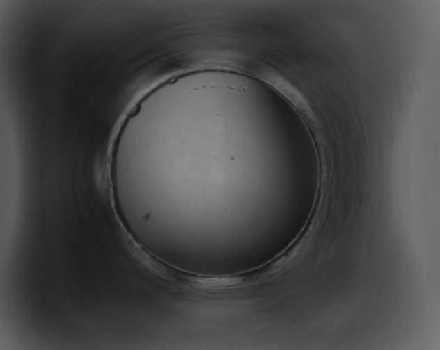 X0000100421200200806061356