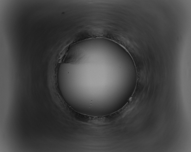 X0000100421201200806061355