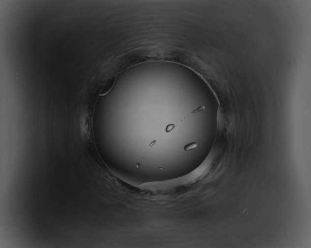X0000100421202200806061355