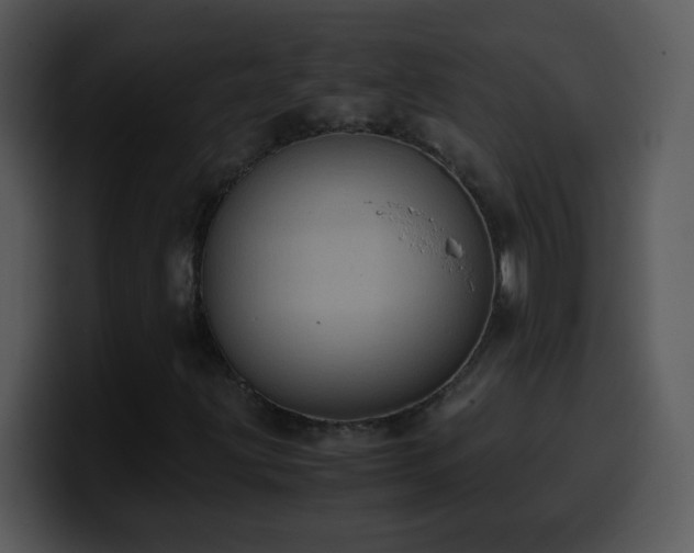X0000100421203200806061355