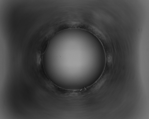 X0000100421204200806061355