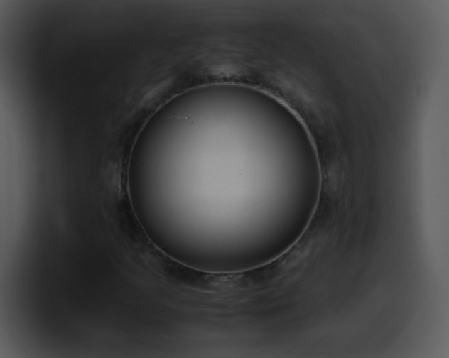 X0000100421205200806061355