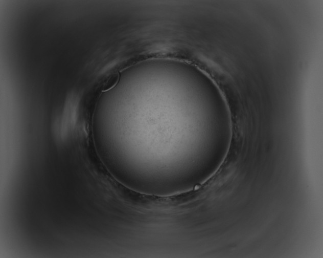 X0000100421206200806061355