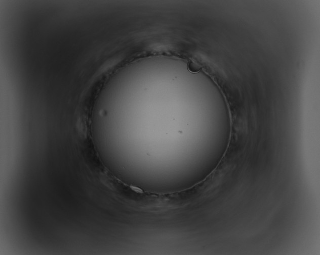 X0000100421207200806061355