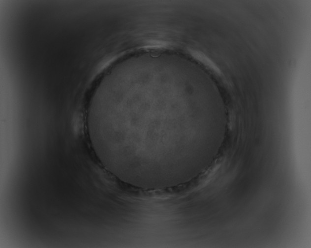 X0000100421208200806061355