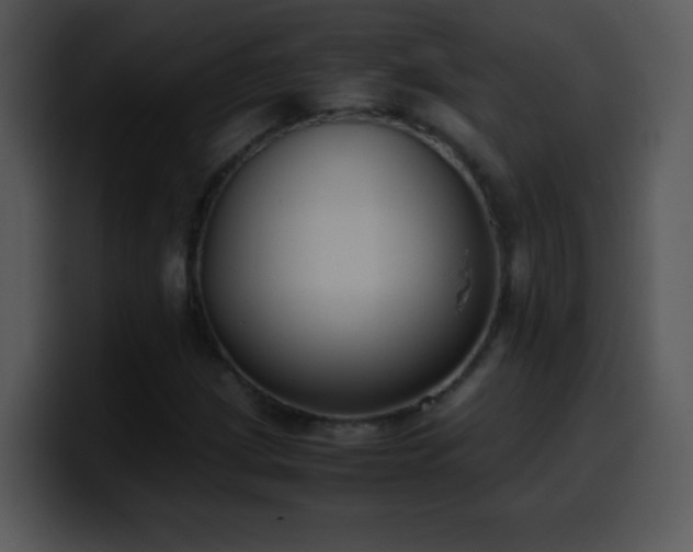 X0000100421209200806061355