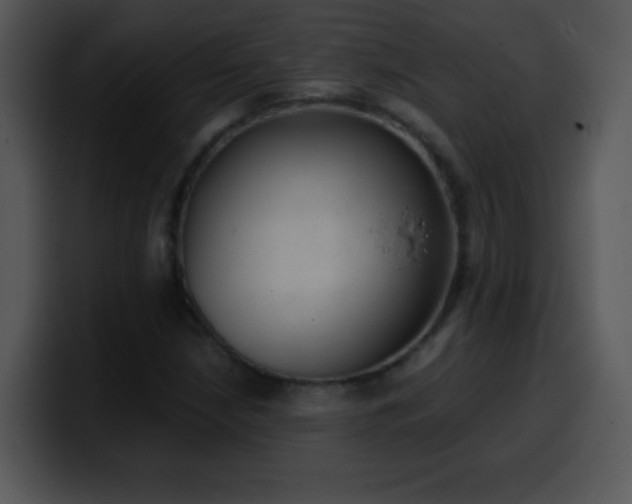 X0000100421210200806061355