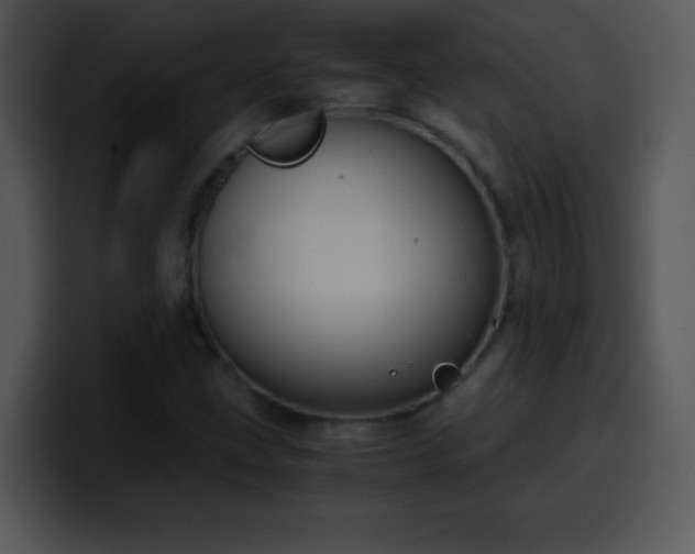 X0000100421211200806061355