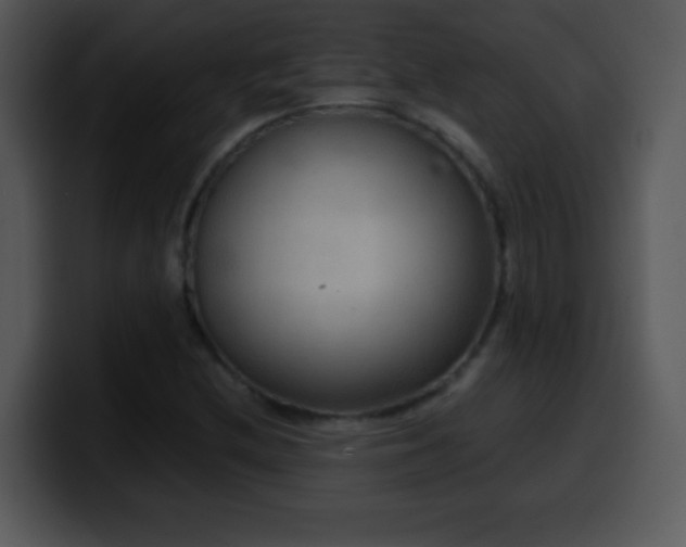 X0000100421212200806061355