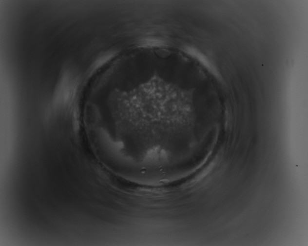 X0000100421213200806061355