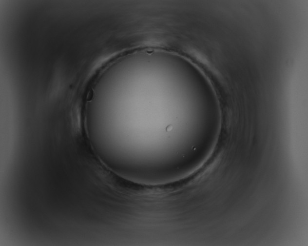 X0000100421214200806061356