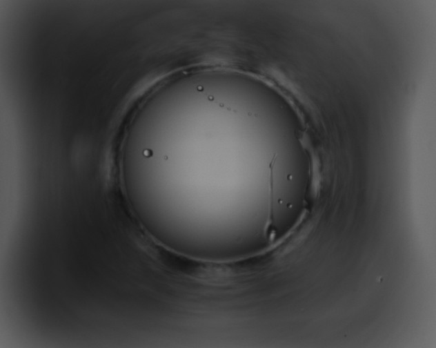 X0000100421215200806061356