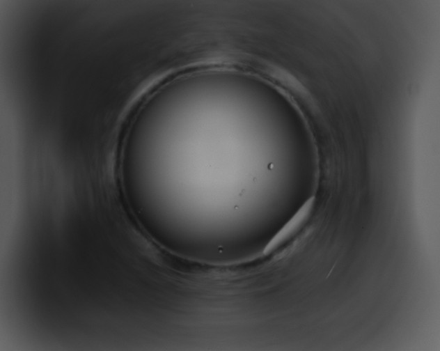 X0000100421216200806061356