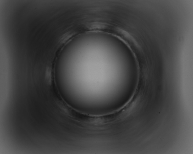 X0000100421217200806061356