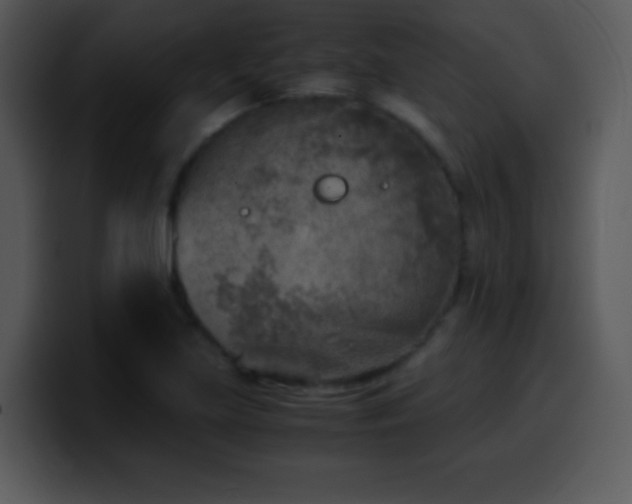 X0000100421219200806061356
