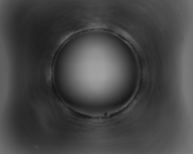 X0000100421220200806061356